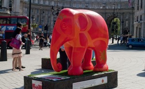 不要想紅色大象